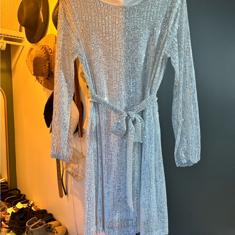 Sparkling Silver Sequin Long Sleeve Dress